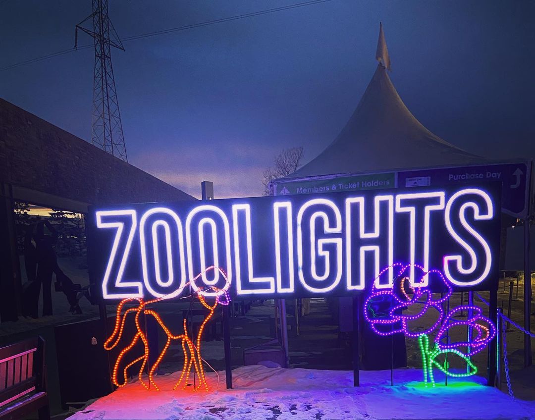 ZooLights está regreso en Calgary Latinos Multicultural Magazine